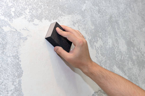  Brooklyn Center, MN Mold Removal Pros