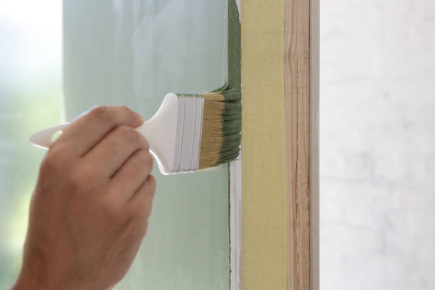 Best Mold Odor Removal Services  in Brooklyn Center, MN