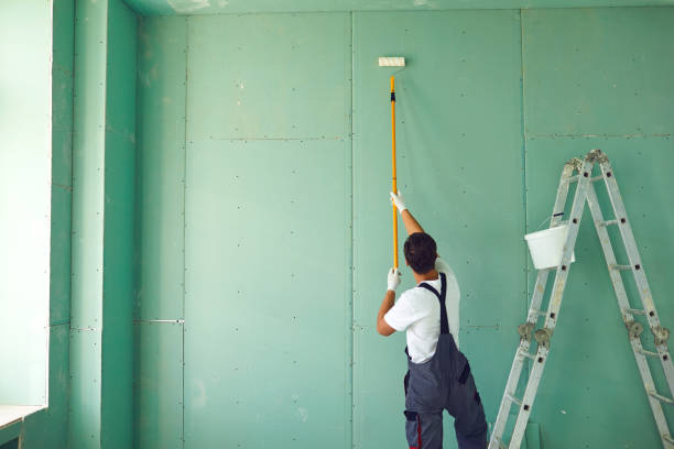 Best Attic Mold Removal  in Brooklyn Center, MN