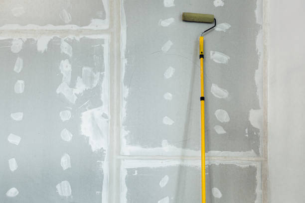 Best Post-Construction Mold Inspection  in Brooklyn Center, MN