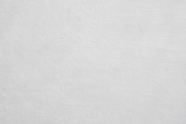 Professional Mold Removal in Brooklyn Center, MN