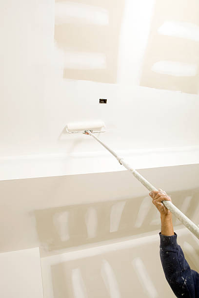 Biohazard Mold Removal in Brooklyn Center, MN